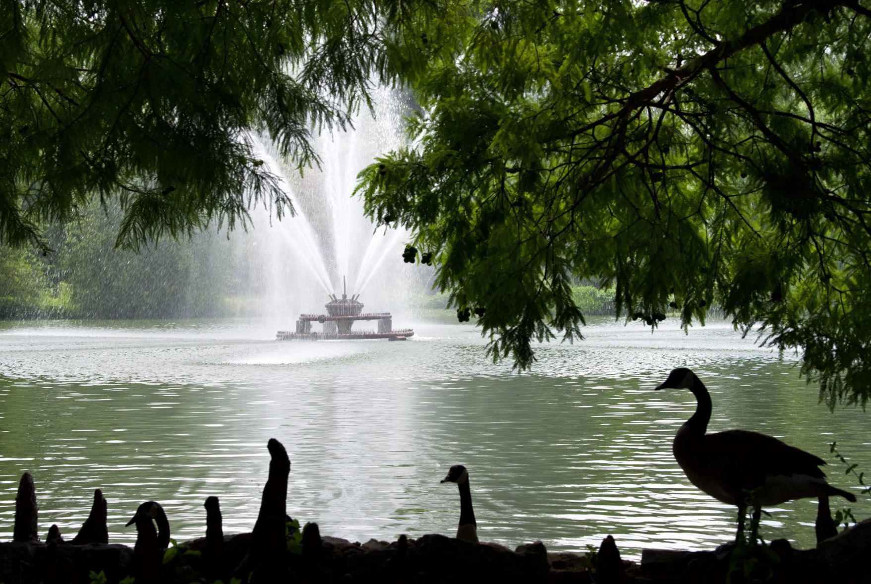 Round lake in summer